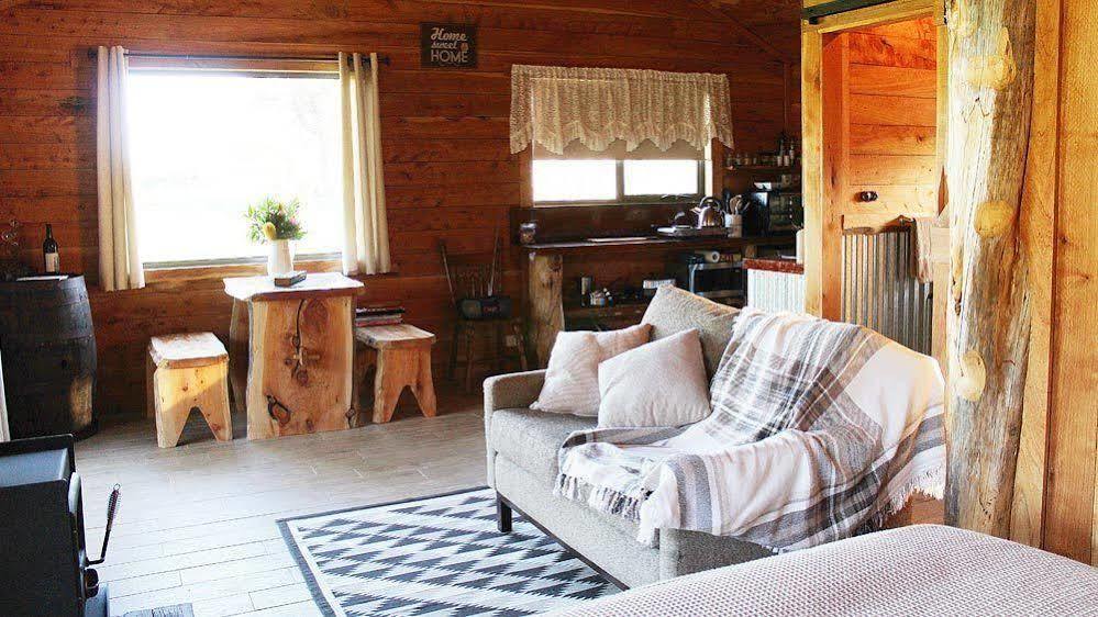 Bed and Breakfast Rustic Hut Bush Retreat Penguin Zewnętrze zdjęcie